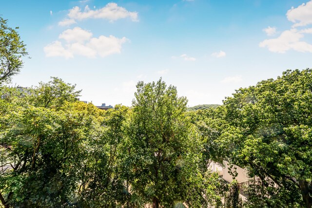 view of landscape