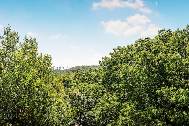 view of mountain feature