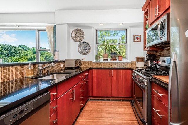 kitchen with red cabinetry, a sink, appliances with stainless steel finishes, decorative backsplash, and plenty of natural light