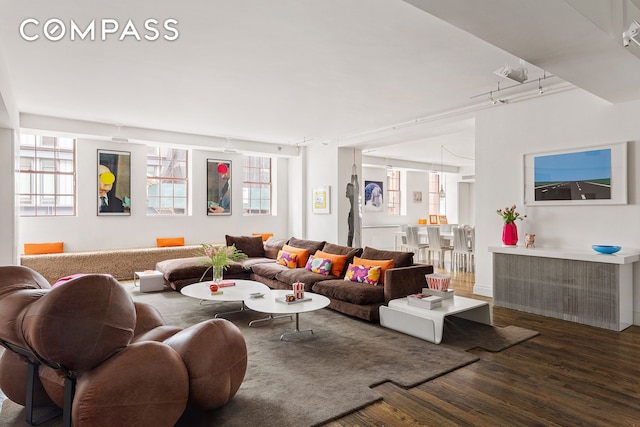 living area featuring rail lighting and wood finished floors