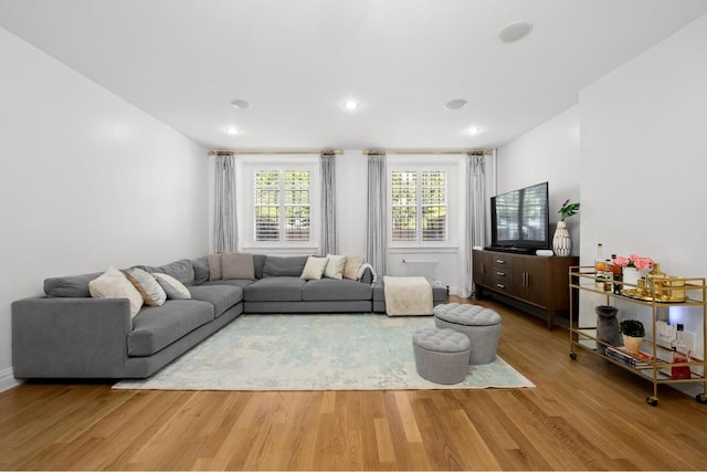 living room with wood-type flooring