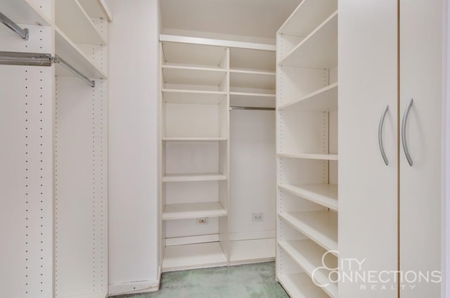 walk in closet featuring carpet floors