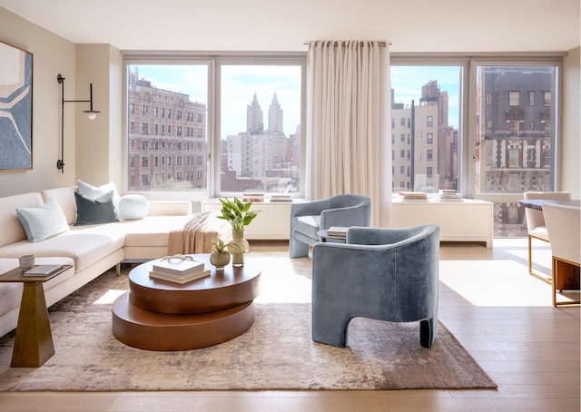 living room featuring a view of skyline, healthy amount of natural light, and wood finished floors