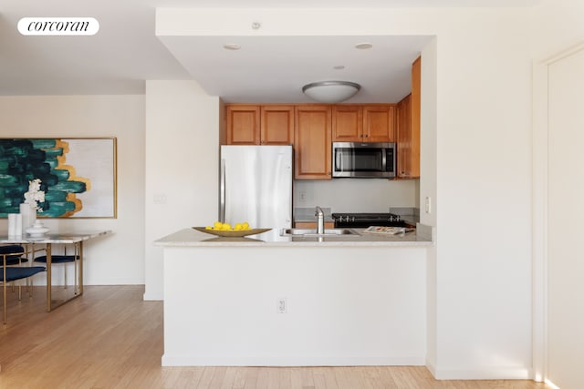 kitchen featuring sink, light hardwood / wood-style floors, and appliances with stainless steel finishes