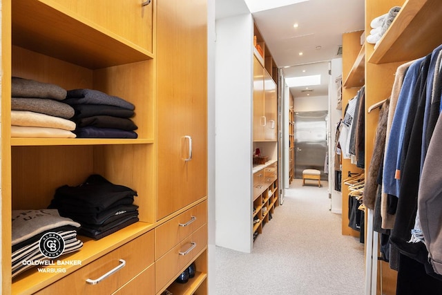 spacious closet with light colored carpet