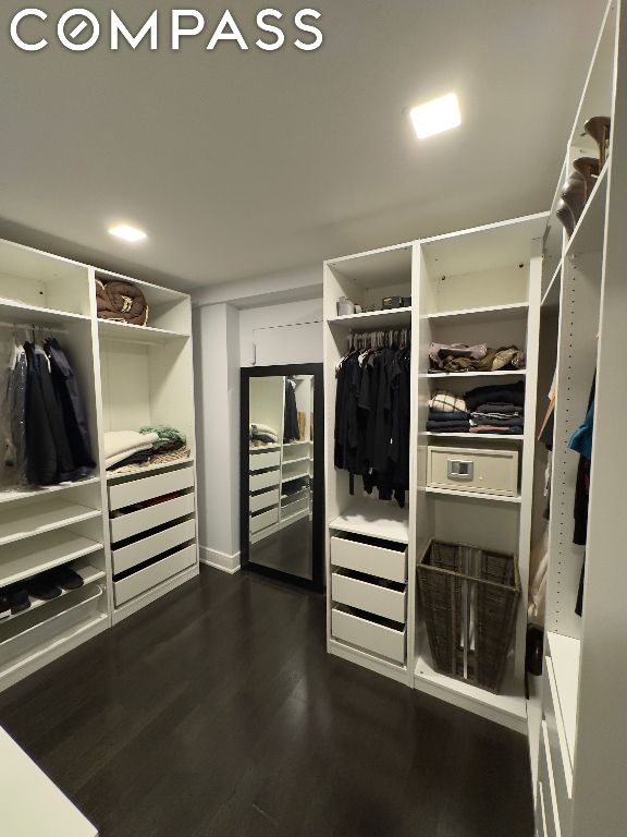 spacious closet featuring dark wood-type flooring