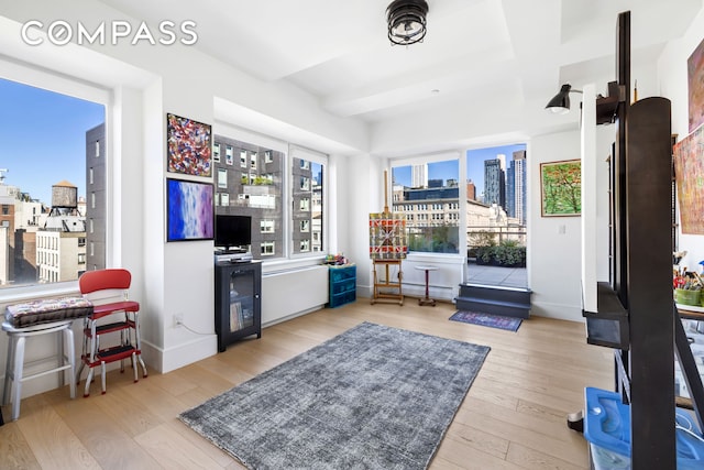 interior space with baseboards and hardwood / wood-style floors