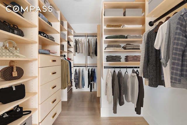 spacious closet with hardwood / wood-style flooring