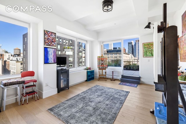 interior space featuring light hardwood / wood-style floors