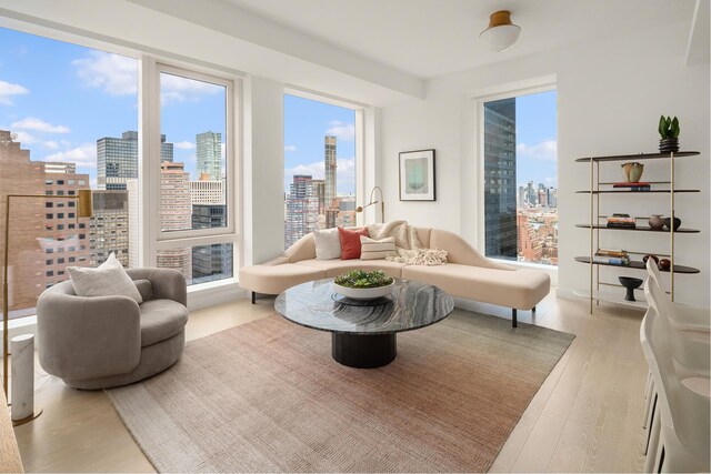 living area featuring a view of city and light wood finished floors