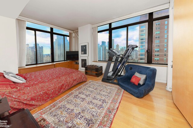 living room featuring floor to ceiling windows and light hardwood / wood-style floors