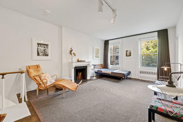 living area featuring radiator and rail lighting