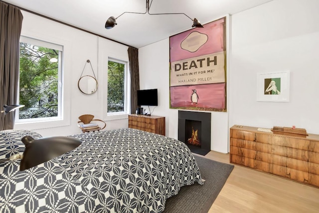 bedroom featuring multiple windows and wood-type flooring