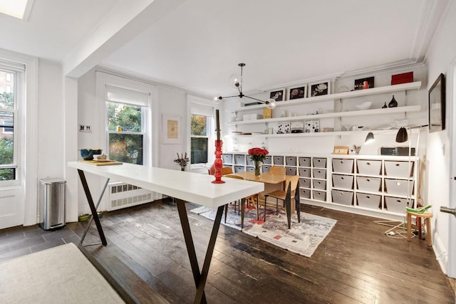 dining area with dark hardwood / wood-style flooring, radiator heating unit, and a healthy amount of sunlight