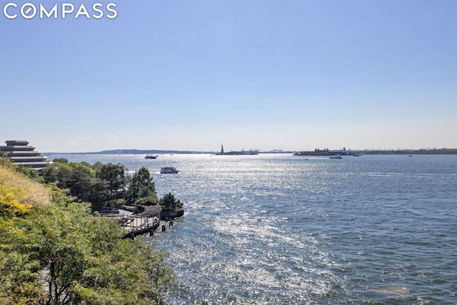 21 S End Ave Unit 739, New York City NY, 10280, 3 bedrooms, 3.5 baths condo for sale