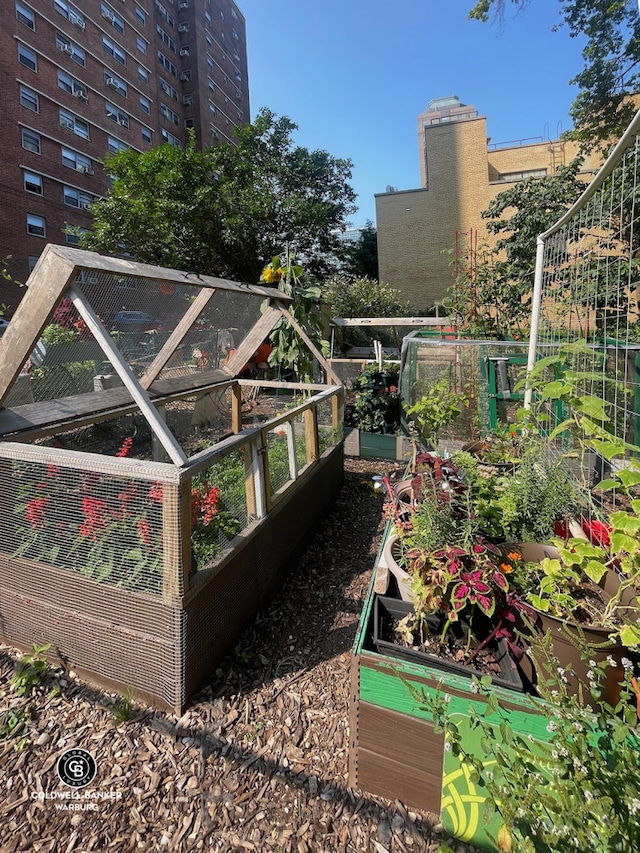 view of yard with a garden