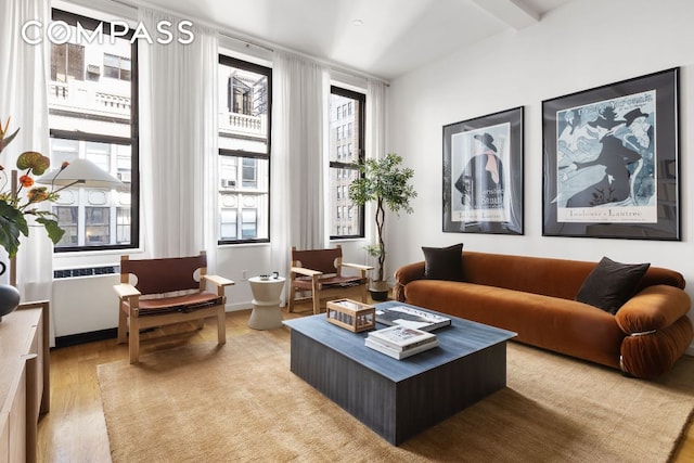 living area featuring light hardwood / wood-style flooring and a wealth of natural light