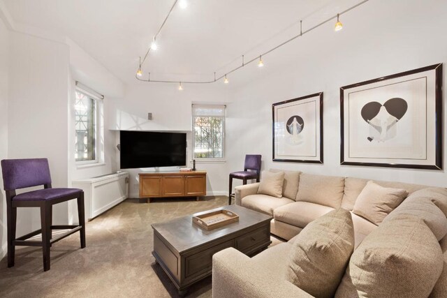 carpeted living room featuring rail lighting