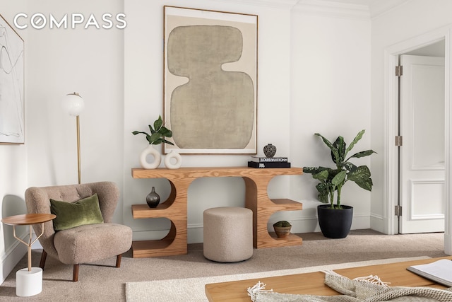 sitting room featuring carpet floors and crown molding