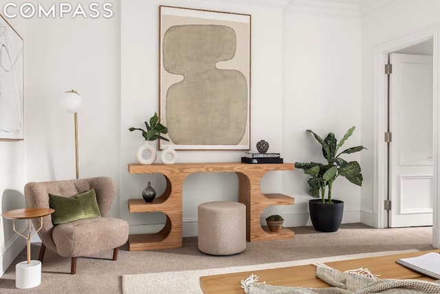 sitting room with crown molding and carpet flooring