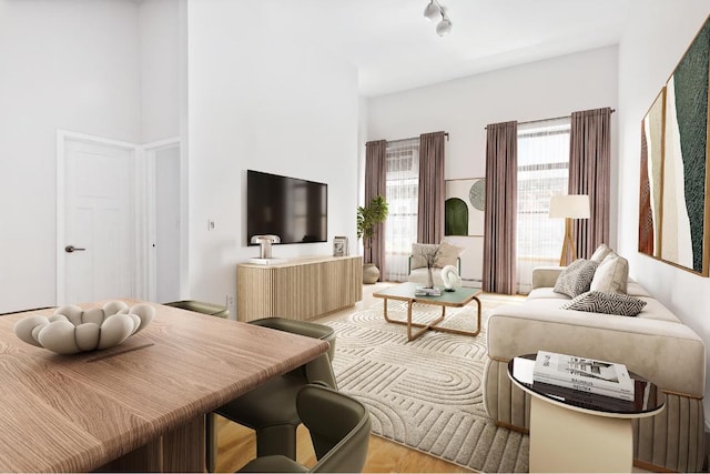 living room with light hardwood / wood-style floors