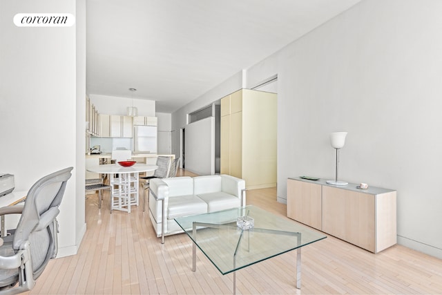 living room featuring light hardwood / wood-style flooring