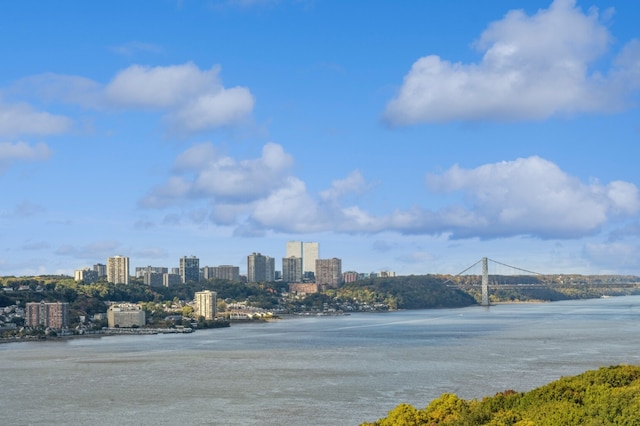 390 Riverside Dr Unit 5G, New York City, NY 10025 - water view featuring a skyline view and a notable bridge