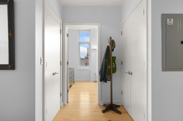 hall with light hardwood / wood-style flooring and electric panel