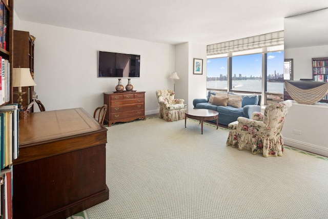 living room with carpet flooring