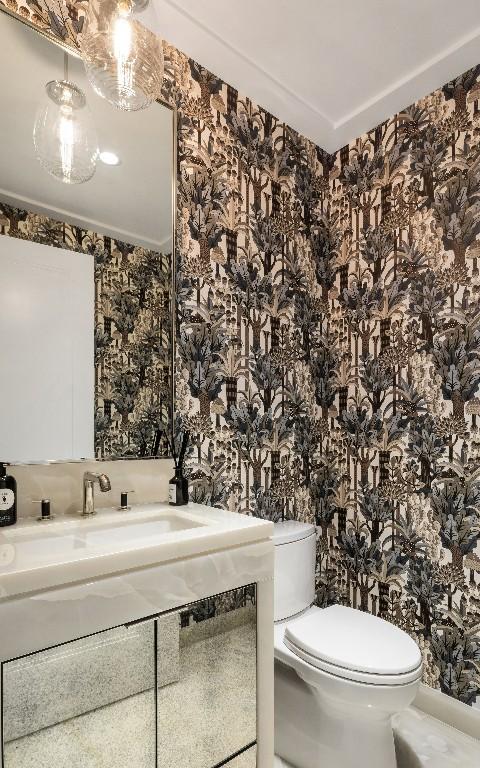 bathroom featuring ornamental molding, toilet, and sink