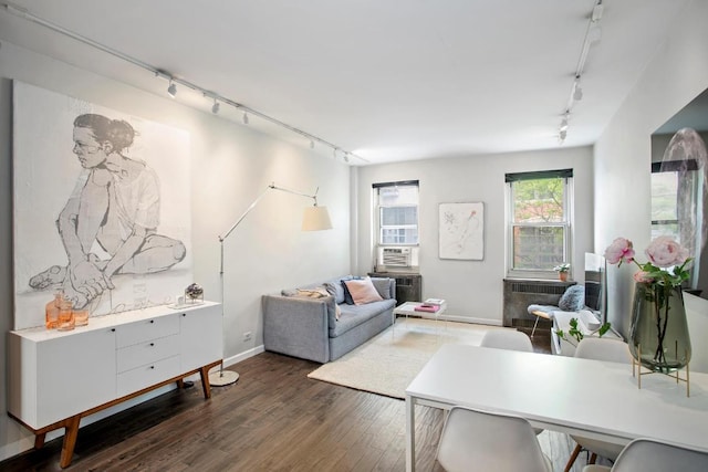 living room with dark wood-type flooring and track lighting