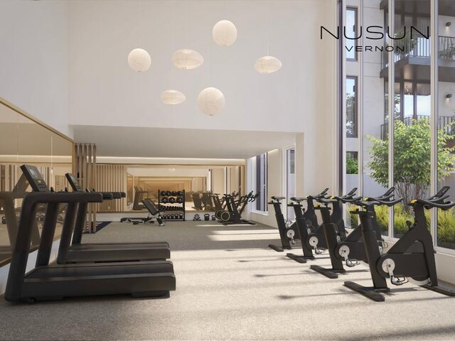 30-55 Vernon Blvd Unit 2G, New York City, NY 11102 - workout area featuring a towering ceiling and carpet floors