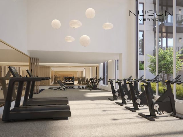 workout area featuring a high ceiling