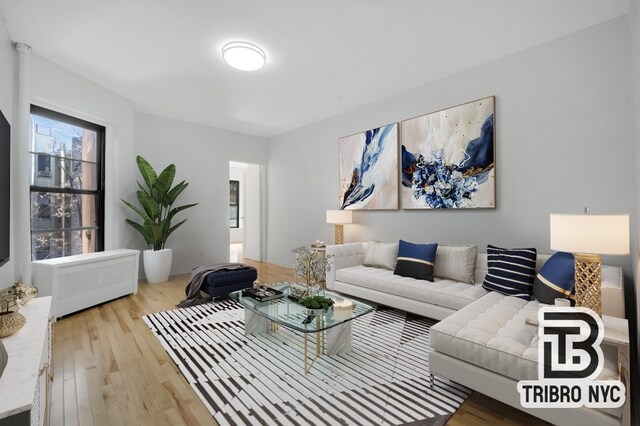 living room featuring wood-type flooring and radiator heating unit