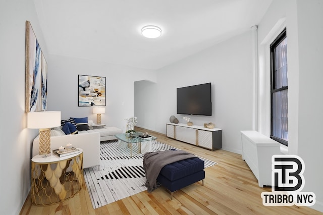 living room with light hardwood / wood-style floors and a wealth of natural light