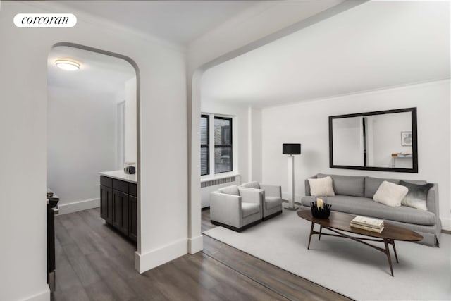 living room with radiator, crown molding, and dark hardwood / wood-style floors