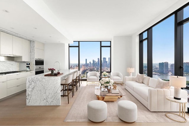 living room featuring a water view, light wood-type flooring, a wall of windows, and plenty of natural light