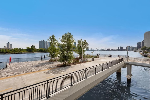 dock area featuring a water view