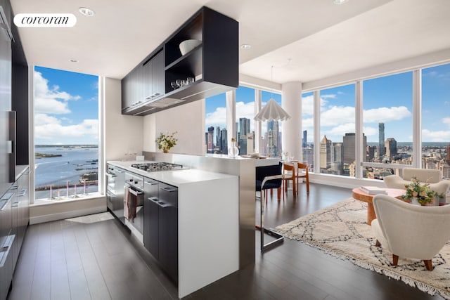 kitchen featuring dark wood-type flooring, a water view, a kitchen breakfast bar, kitchen peninsula, and stainless steel gas stovetop