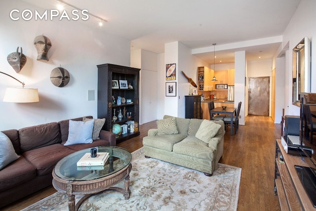 living room featuring dark wood-type flooring