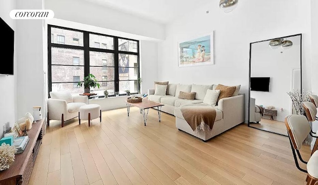 living room with light wood-type flooring