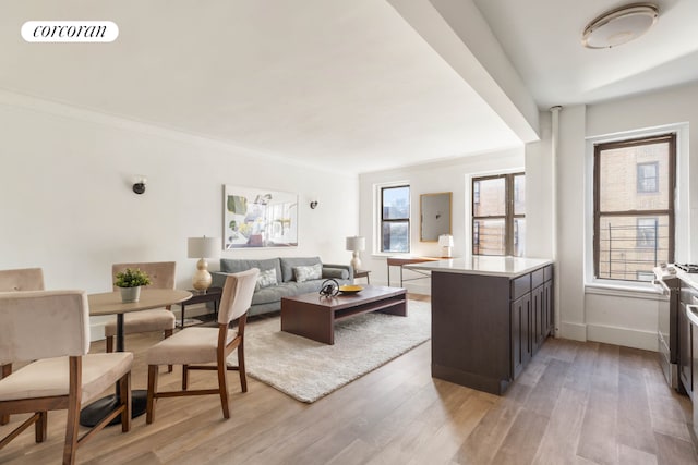 living room featuring ornamental molding and light hardwood / wood-style flooring