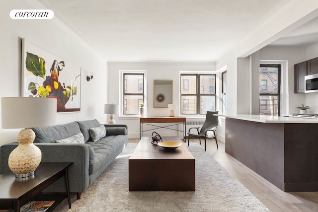 living room with light wood-type flooring and a wealth of natural light