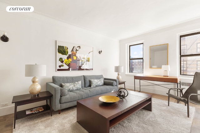 living room featuring ornamental molding