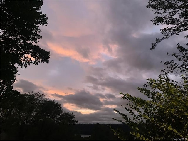 view of nature at dusk