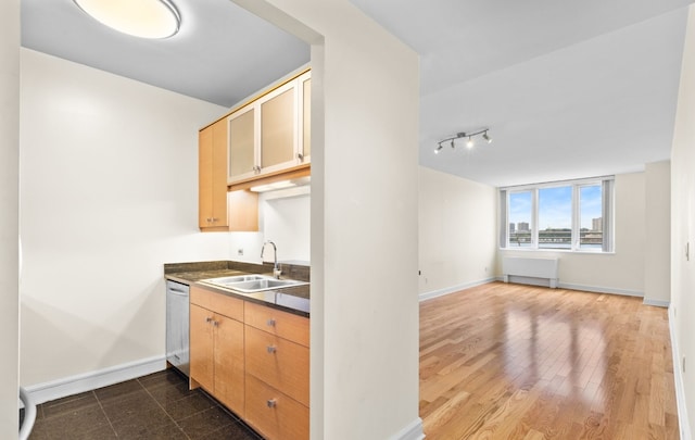 kitchen featuring dark hardwood / wood-style flooring, sink, radiator heating unit, and dishwasher