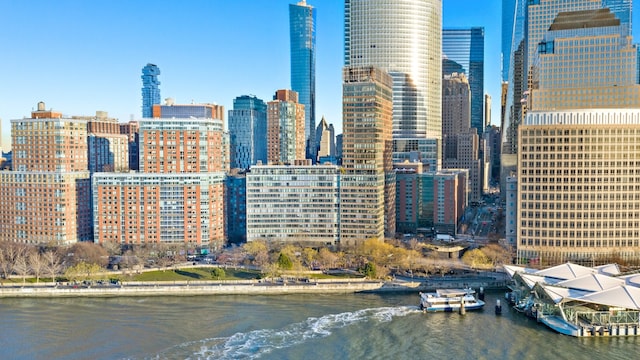 city view featuring a water view