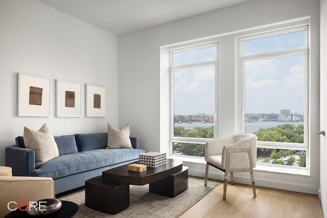 living room with a water view and light hardwood / wood-style flooring