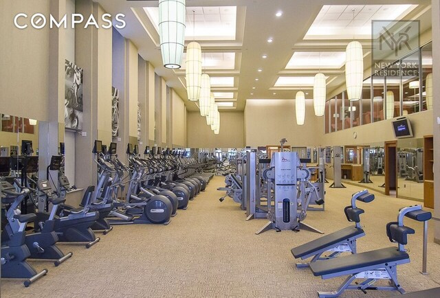 gym featuring a high ceiling