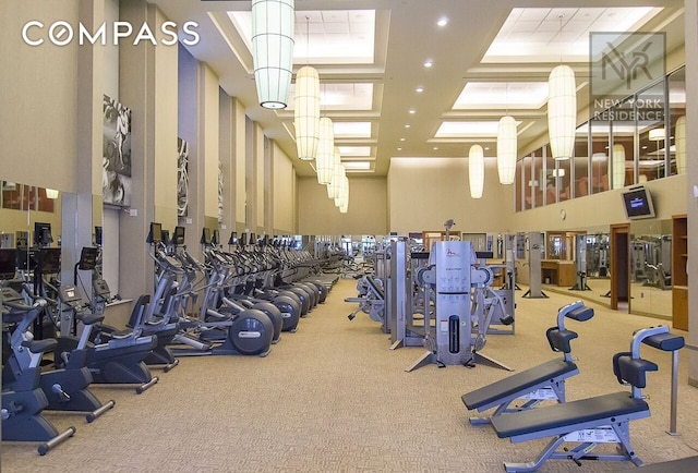 workout area with carpet and a towering ceiling